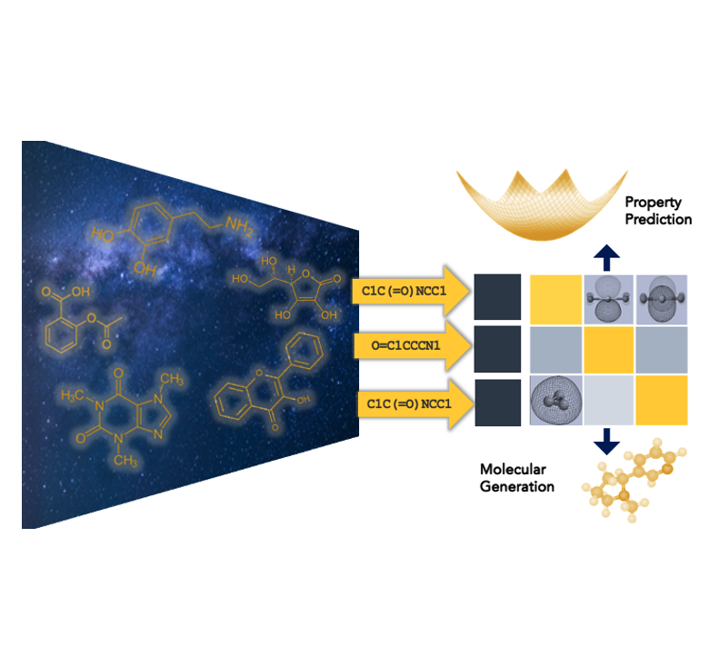 Molecular Discovery
